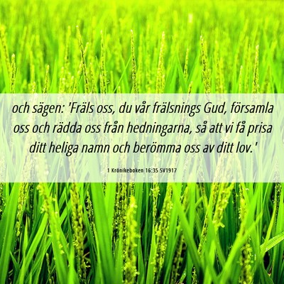 Picture 06 - 1 Krönikeboken 16:35 SV1917 - och sägen: 'Fräls oss, du vår frälsnings Gud, - Bible Verse Picture