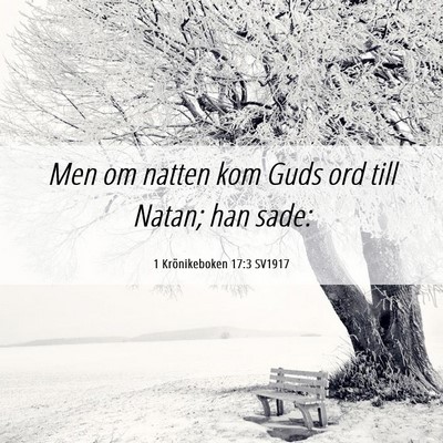 Picture 06 - 1 Krönikeboken 17:3 SV1917 - Men om natten kom Guds ord till Natan; han - Bible Verse Picture