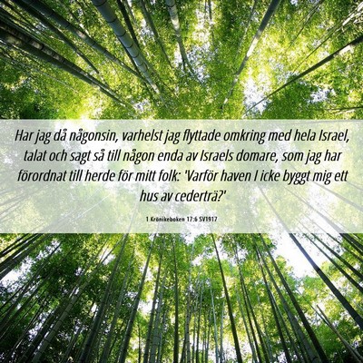 Picture 06 - 1 Krönikeboken 17:6 SV1917 - Har jag då någonsin, varhelst jag flyttade - Bible Verse Picture