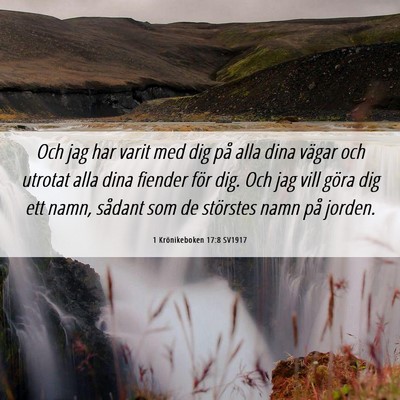 Picture 06 - 1 Krönikeboken 17:8 SV1917 - Och jag har varit med dig på alla dina vägar - Bible Verse Picture