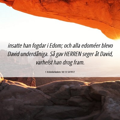 Picture 06 - 1 Krönikeboken 18:13 SV1917 - insatte han fogdar i Edom; och alla edoméer - Bible Verse Picture
