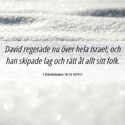 Picture 06 - 1 Krönikeboken 18:14 SV1917 - David regerade nu över hela Israel; och han - Bible Verse Picture