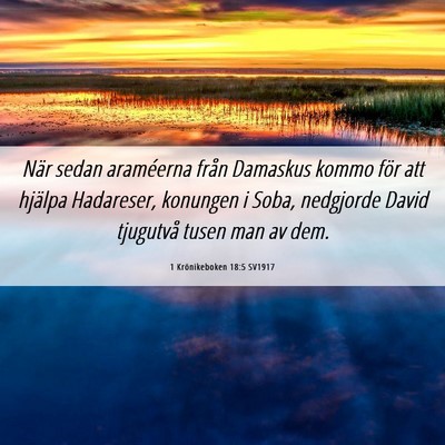 Picture 06 - 1 Krönikeboken 18:5 SV1917 - När sedan araméerna från Damaskus kommo för - Bible Verse Picture