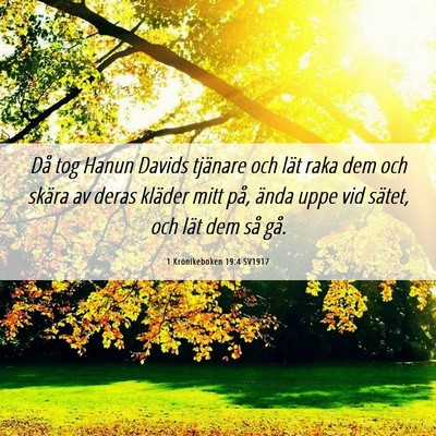Picture 06 - 1 Krönikeboken 19:4 SV1917 - Då tog Hanun Davids tjänare och lät raka dem - Bible Verse Picture