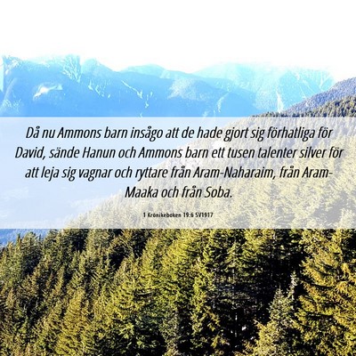 Picture 06 - 1 Krönikeboken 19:6 SV1917 - Då nu Ammons barn insågo att de hade gjort sig - Bible Verse Picture