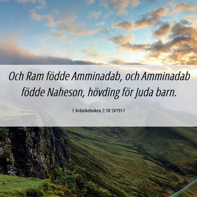 Picture 06 - 1 Krönikeboken 2:10 SV1917 - Och Ram födde Amminadab, och Amminadab födde - Bible Verse Picture