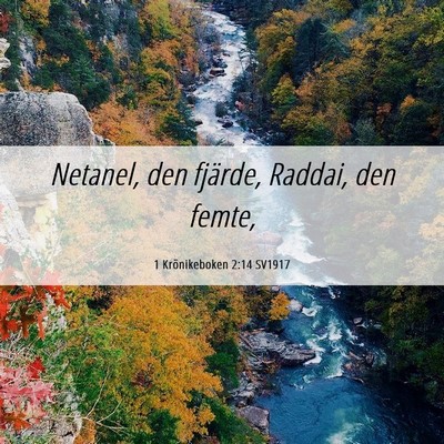 Picture 06 - 1 Krönikeboken 2:14 SV1917 - Netanel, den fjärde, Raddai, den - Bible Verse Picture