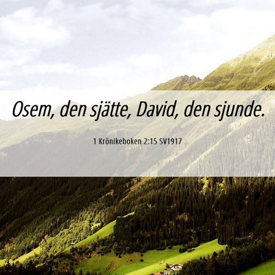 Picture 06 - 1 Krönikeboken 2:15 SV1917 - Osem, den sjätte, David, den - Bible Verse Picture