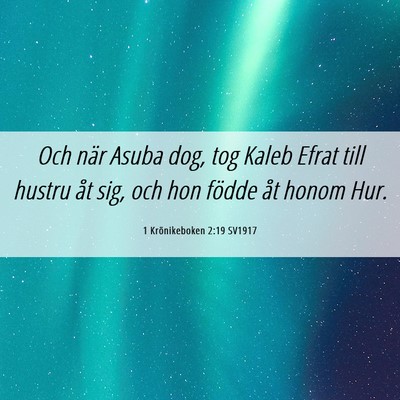 Picture 06 - 1 Krönikeboken 2:19 SV1917 - Och när Asuba dog, tog Kaleb Efrat till hustru - Bible Verse Picture