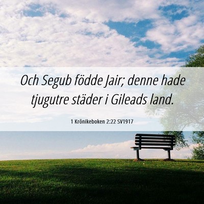 Picture 06 - 1 Krönikeboken 2:22 SV1917 - Och Segub födde Jair; denne hade tjugutre - Bible Verse Picture
