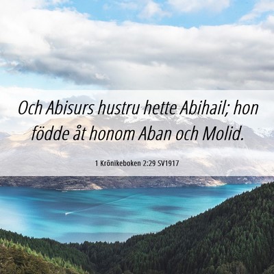 Picture 06 - 1 Krönikeboken 2:29 SV1917 - Och Abisurs hustru hette Abihail; hon födde åt - Bible Verse Picture