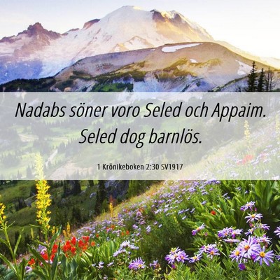 Picture 06 - 1 Krönikeboken 2:30 SV1917 - Nadabs söner voro Seled och Appaim. Seled dog - Bible Verse Picture