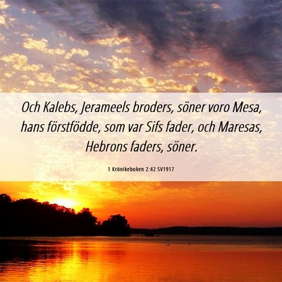 Picture 06 - 1 Krönikeboken 2:42 SV1917 - Och Kalebs, Jerameels broders, söner voro Mesa, - Bible Verse Picture