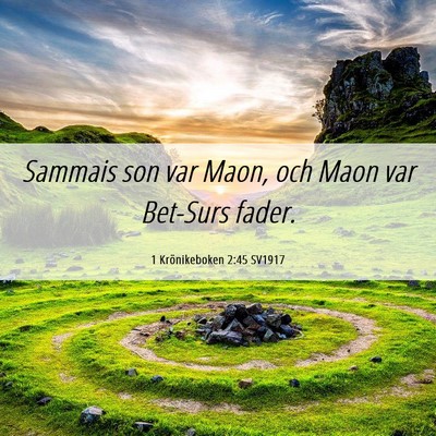 Picture 06 - 1 Krönikeboken 2:45 SV1917 - Sammais son var Maon, och Maon var Bet-Surs - Bible Verse Picture