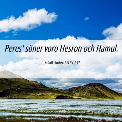 Picture 06 - 1 Krönikeboken 2:5 SV1917 - Peres' söner voro Hesron och - Bible Verse Picture