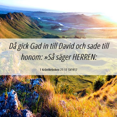 Picture 06 - 1 Krönikeboken 21:11 SV1917 - Då gick Gad in till David och sade till honom: - Bible Verse Picture