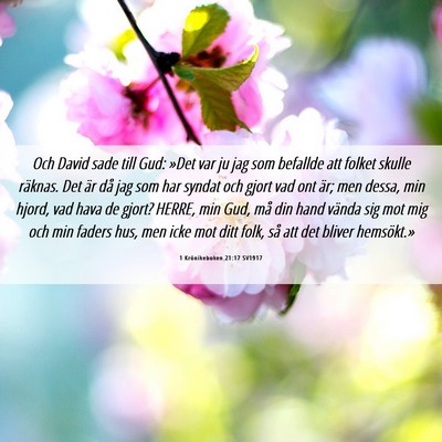 Picture 06 - 1 Krönikeboken 21:17 SV1917 - Och David sade till Gud: »Det var ju jag som - Bible Verse Picture
