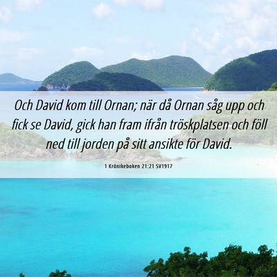 Picture 06 - 1 Krönikeboken 21:21 SV1917 - Och David kom till Ornan; när då Ornan såg upp - Bible Verse Picture