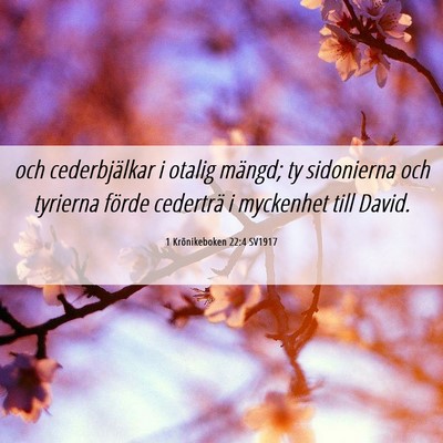 Picture 06 - 1 Krönikeboken 22:4 SV1917 - och cederbjälkar i otalig mängd; ty sidonierna - Bible Verse Picture