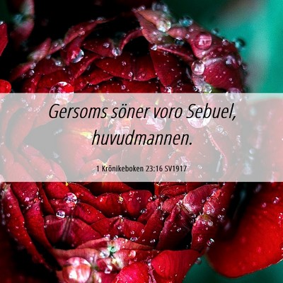 Picture 06 - 1 Krönikeboken 23:16 SV1917 - Gersoms söner voro Sebuel, - Bible Verse Picture
