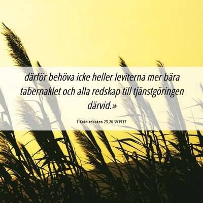 Picture 06 - 1 Krönikeboken 23:26 SV1917 - därför behöva icke heller leviterna mer bära - Bible Verse Picture