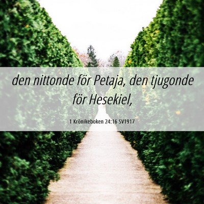 Picture 06 - 1 Krönikeboken 24:16 SV1917 - den nittonde för Petaja, den tjugonde för - Bible Verse Picture