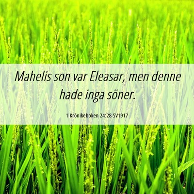 Picture 06 - 1 Krönikeboken 24:28 SV1917 - Mahelis son var Eleasar, men denne hade inga - Bible Verse Picture