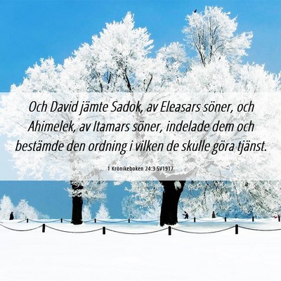 Picture 06 - 1 Krönikeboken 24:3 SV1917 - Och David jämte Sadok, av Eleasars söner, och - Bible Verse Picture