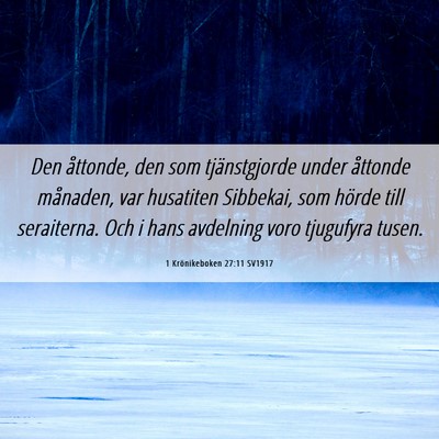 Picture 06 - 1 Krönikeboken 27:11 SV1917 - Den åttonde, den som tjänstgjorde under - Bible Verse Picture