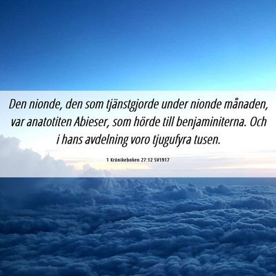 Picture 06 - 1 Krönikeboken 27:12 SV1917 - Den nionde, den som tjänstgjorde under nionde - Bible Verse Picture