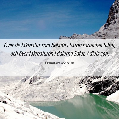 Picture 06 - 1 Krönikeboken 27:29 SV1917 - Över de fäkreatur som betade i Saron saroniten - Bible Verse Picture