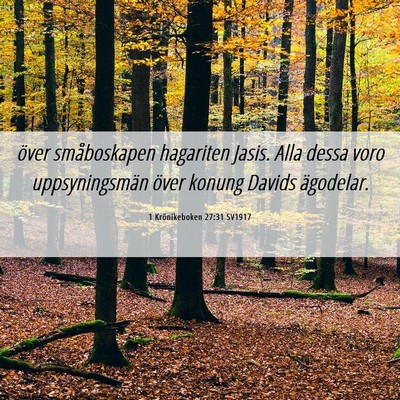Picture 06 - 1 Krönikeboken 27:31 SV1917 - över småboskapen hagariten Jasis. Alla dessa - Bible Verse Picture