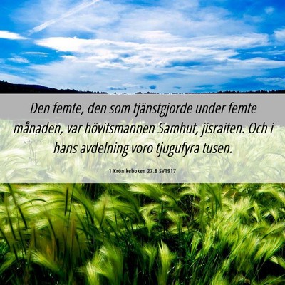 Picture 06 - 1 Krönikeboken 27:8 SV1917 - Den femte, den som tjänstgjorde under femte - Bible Verse Picture