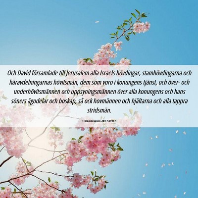 Picture 06 - 1 Krönikeboken 28:1 SV1917 - Och David församlade till Jerusalem alla Israels - Bible Verse Picture