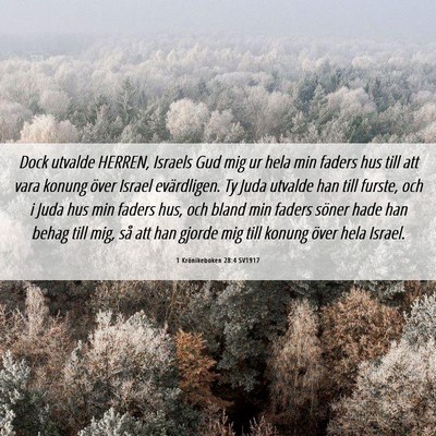 Picture 06 - 1 Krönikeboken 28:4 SV1917 - Dock utvalde HERREN, Israels Gud mig ur hela min - Bible Verse Picture