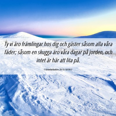 Picture 06 - 1 Krönikeboken 29:15 SV1917 - Ty vi äro främlingar hos dig och gäster såsom - Bible Verse Picture