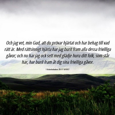 Picture 06 - 1 Krönikeboken 29:17 SV1917 - Och jag vet, min Gud, att du prövar hjärtat och - Bible Verse Picture