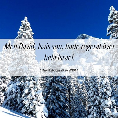 Picture 06 - 1 Krönikeboken 29:26 SV1917 - Men David, Isais son, hade regerat över hela - Bible Verse Picture