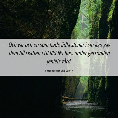 Picture 06 - 1 Krönikeboken 29:8 SV1917 - Och var och en som hade ädla stenar i sin ägo - Bible Verse Picture