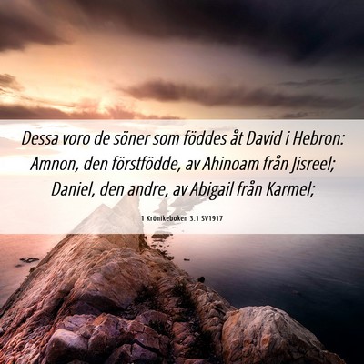 Picture 06 - 1 Krönikeboken 3:1 SV1917 - Dessa voro de söner som föddes åt David i - Bible Verse Picture