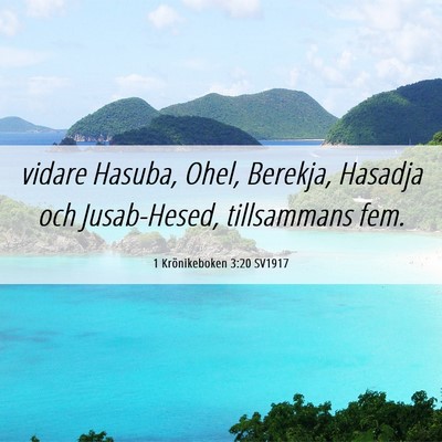 Picture 06 - 1 Krönikeboken 3:20 SV1917 - vidare Hasuba, Ohel, Berekja, Hasadja och - Bible Verse Picture