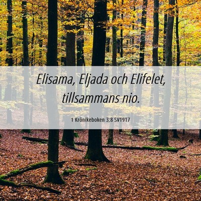 Picture 06 - 1 Krönikeboken 3:8 SV1917 - Elisama, Eljada och Elifelet, tillsammans - Bible Verse Picture