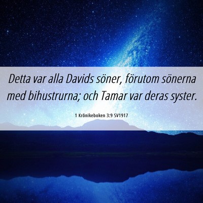 Picture 06 - 1 Krönikeboken 3:9 SV1917 - Detta var alla Davids söner, förutom sönerna - Bible Verse Picture