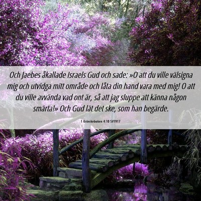 Picture 06 - 1 Krönikeboken 4:10 SV1917 - Och Jaebes åkallade Israels Gud och sade: »O - Bible Verse Picture