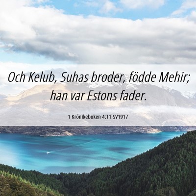 Picture 06 - 1 Krönikeboken 4:11 SV1917 - Och Kelub, Suhas broder, födde Mehir; han var - Bible Verse Picture