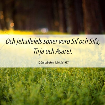 Picture 06 - 1 Krönikeboken 4:16 SV1917 - Och Jehallelels söner voro Sif och Sifa, Tirja - Bible Verse Picture