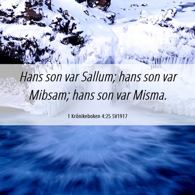 Picture 06 - 1 Krönikeboken 4:25 SV1917 - Hans son var Sallum; hans son var Mibsam; hans - Bible Verse Picture