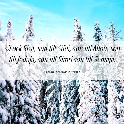 Picture 06 - 1 Krönikeboken 4:37 SV1917 - så ock Sisa, son till Sifei, son till Allon, son - Bible Verse Picture