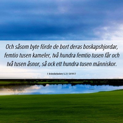 Picture 06 - 1 Krönikeboken 5:21 SV1917 - Och såsom byte förde de bort deras - Bible Verse Picture