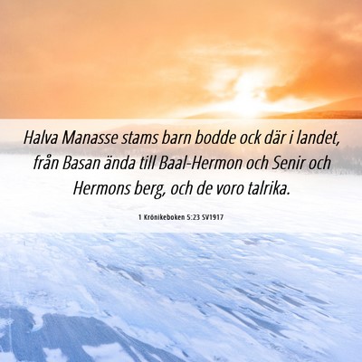 Picture 06 - 1 Krönikeboken 5:23 SV1917 - Halva Manasse stams barn bodde ock där i landet, - Bible Verse Picture